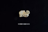 陶罐藏品圖，第2張